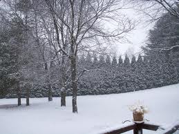 What we got was this; pleasant isn't it?image source: wunderground.com