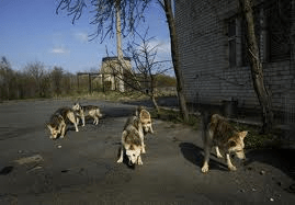 The rest of you-she's this way.