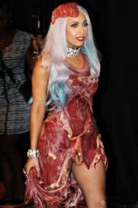idiotprufs lady gaga