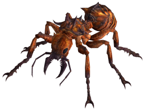 nerd idiotprufs ants