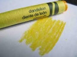 dandelion crayon